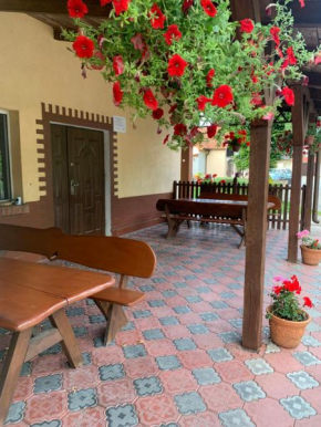 Noclegi Ciesiul in Orneta